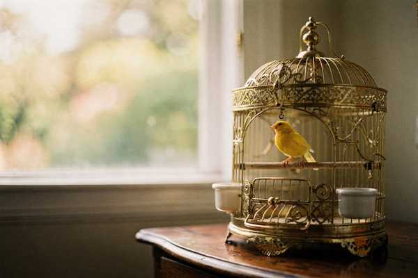 Huawei Watch D2 BLE Pairing: Protocol & Vendor Lock-In Case