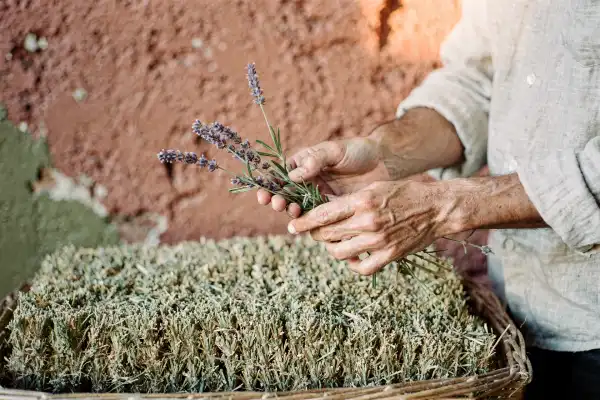 The Nuclear Option for Bulk Deletes: TRUNCATE + Reinsert (MySQL/InnoDB)